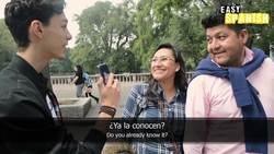 Ideal Holiday Instructional Video