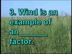 Ecosystem Dynamics Quiz Instructional Video