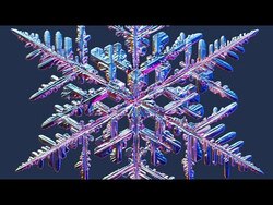 La CIENCIA no puede EXPLICAR esto! Instructional Video