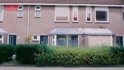 Can a child have more than two parents? Instructional Video