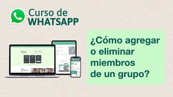 ¿Cómo agregar o eliminar miembros de un grupo de WhatsApp? Instructional Video
