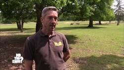 Masters of Disguise: Nature's Ingenious Camouflage Instructional Video