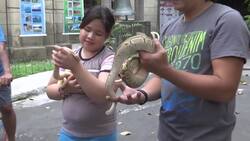 Snakes and turtles among pets at Manila blessing Instructional Video