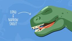 I WONDER - What Did The Albertosaurus Look Like? Instructional Video