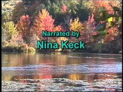 Natural Cycles: Introduction Instructional Video