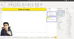 Business Intelligence with Microsoft Power BI - with Material - Applying Filters on Visuals Instructional Video