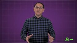 The Northern Hemisphere’s Very Own Giant Penguins (Sort Of) Instructional Video