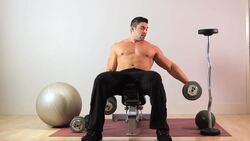 How to Do an Incline Dumbbell Bicep Curl for an Arm Workout Instructional Video