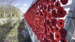 These women hand-crocheted thousands of poppies News Clip