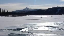 Green Party co-leader annouces civil defence force in Whitehorse News Clip