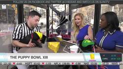 Meet Some Future Puppy Bowl Pups! News Clip