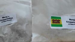 Bodega offers healthy options to The Bronx News Clip