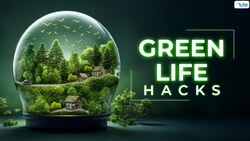 Green Living Hacks- Simple Steps for a Sustainable Lifestyle Instructional Video
