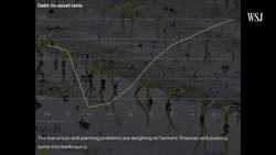 The Farm Economy Instructional Video