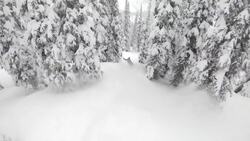 SNOWBOARDER GOGGLE EXAM-2019 Smith Instructional Video