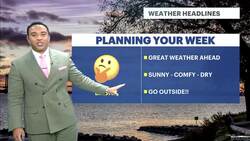 Picture-perfect Sunday in The Bronx ahead of pleasant week News Clip