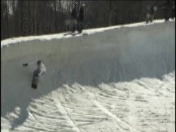 Things in Motion: the Force of Gravity Instructional Video