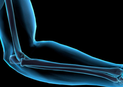 Joints Instructional Video