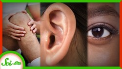 Body Parts You’ve Never Heard Of Instructional Video