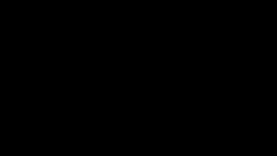 CLEAN : New York elects ex-cop Adams as second ever Black mayor News Clip