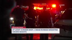 3 dead, 9 injured after gang related shooting at Crown Heights lounge News Clip