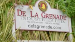 Travel: A foodie's guide to Grenada News Clip