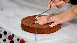 Cutting Cake on Layers. Making Chocolate Layer Cake. Stock Footage