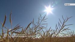 Manitoba farmers hope for white winter after summer drought News Clip