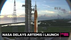 Leroy Chiao on NASA Delay of the Artemis I Rocket Launch News Clip