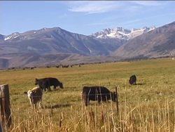 Landforms part 2: What Are Landforms? Instructional Video