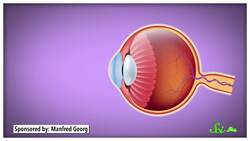 Why Do Things Look Blurry Underwater? Instructional Video