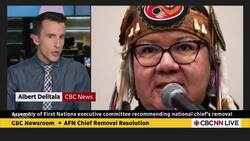 AFN executive committee recommending national chief's removal News Clip