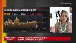 Credit Suisse's Hudson on Investing in Sustainability News Clip