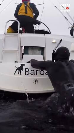 Eye contact with orcas, a marine biologist's winter adventure	 Instructional Video