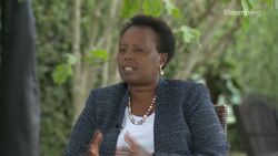 Premium Beers Buoy Diageo's Sales in Kenya as Inflation Bites News Clip