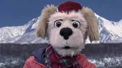 Animal Alphabet: K is for Kingfisher Instructional Video