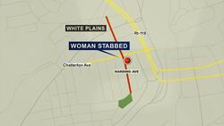 Headlines: Woman stabbed in White Plains, fatal crash on I-84, body of missing guardsman found News Clip