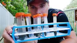 Micro Animal Gives Birth! Instructional Video