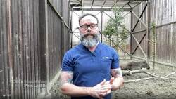 Canadian vet travels to Ukraine to help hundreds of pets left behind by war News Clip