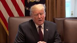 Trump: State of Union cancellation a 'disgrace' Instructional Video