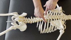 Rib Spring Testing for Rib Hypomobility [Ribs 2-10 (12)] Instructional Video