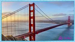 What is an Engineer? | Squeaks has an Engineering Problem! | SciShow Kids Instructional Video