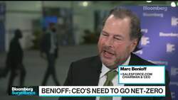 Salesforce CEO Benioff Tells Billionaires ‘Plant a Tree’ News Clip