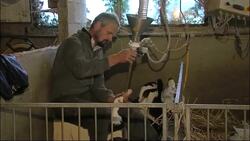 French producers up in arms over US foie gras ban, accuse court of bending to vegetarian lobbyists News Clip