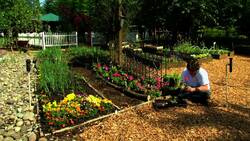 Supa Fresh Youth Farm: Helping Underserved Teens Learn Life Skills Instructional Video