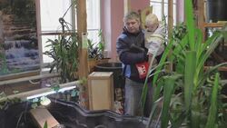 Russian church snaps up parishioners with crocodiles in basement zoo Instructional Video