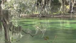 Identifying Wetlands in the United States Instructional Video