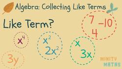 Collecting Like Terms Instructional Video