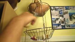 How to Organize a Refrigerator Instructional Video