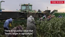 Trump’s Deportations Are Changing How We Think About Food Instructional Video